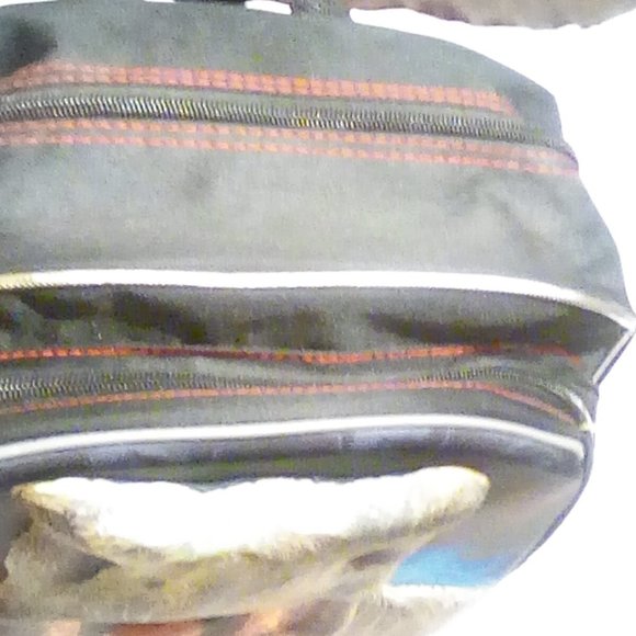 Jurassic World Backpack for Boys Kids ~ Deluxe 3D 16" Jurassic Park Backpack (Ju - Picture 9 of 9